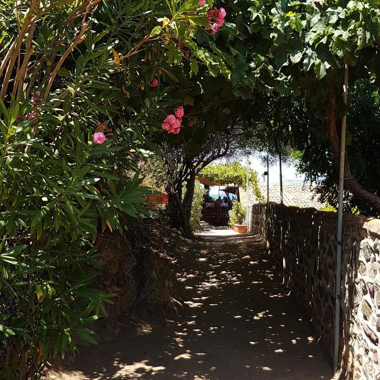 Villa Molivos Views 미팀나 외부 사진